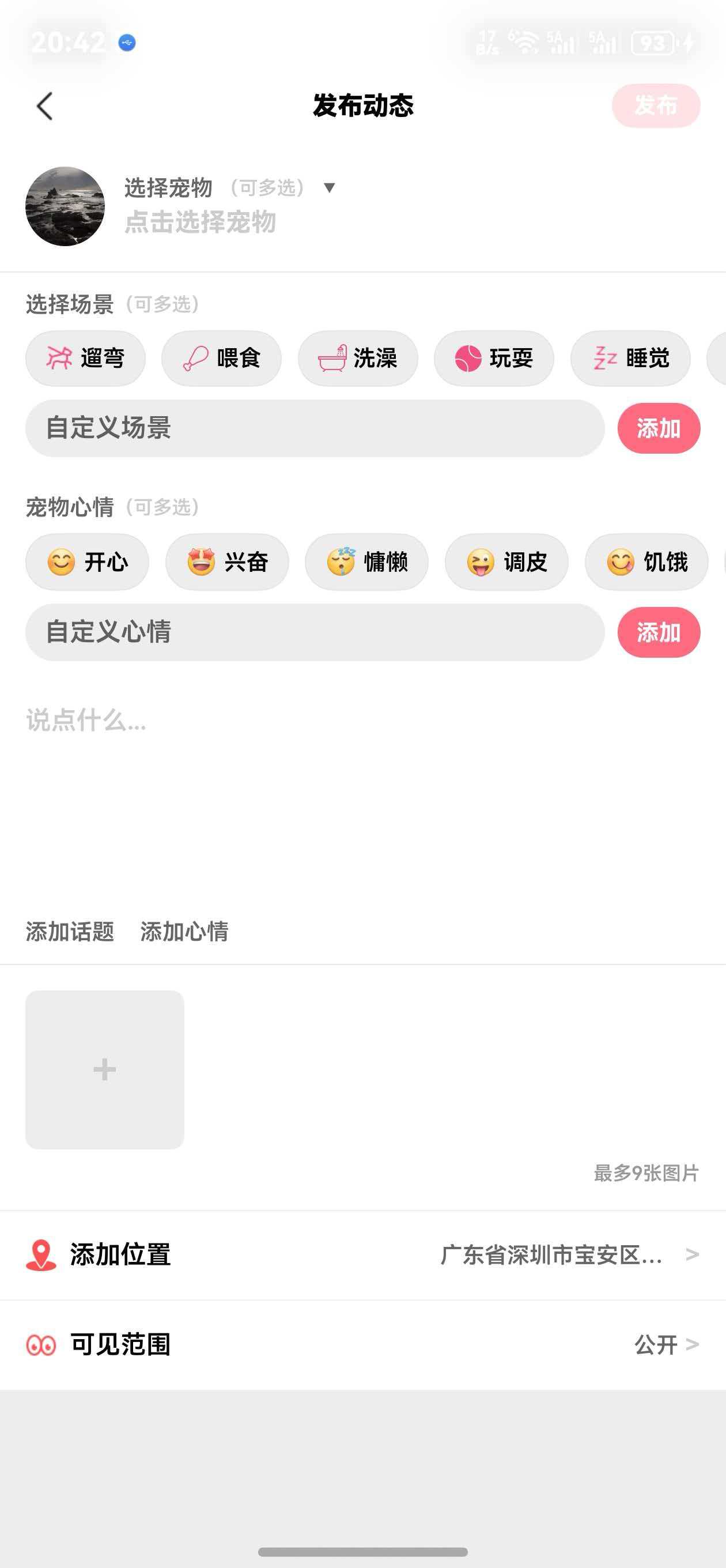 发布